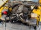 2024 Ford Mustang GT Premium Fastback