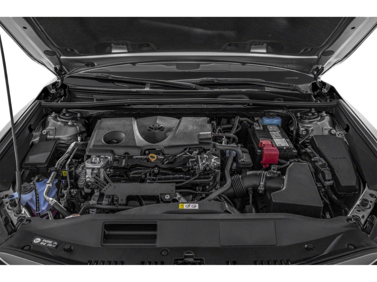 2021 Toyota Camry XLE Auto (SE)