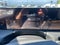 2026 Nissan Armada PRO-4X®