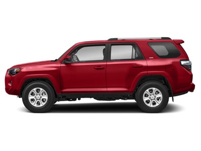 2024 Toyota 4Runner SR5 Premium 4WD (Natl)