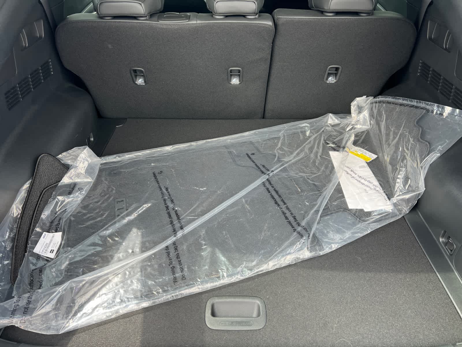2024 Kia EV6 Light Long Range RWD