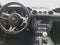 2020 Ford Mustang GT Premium | Performance Package, 6-Speed