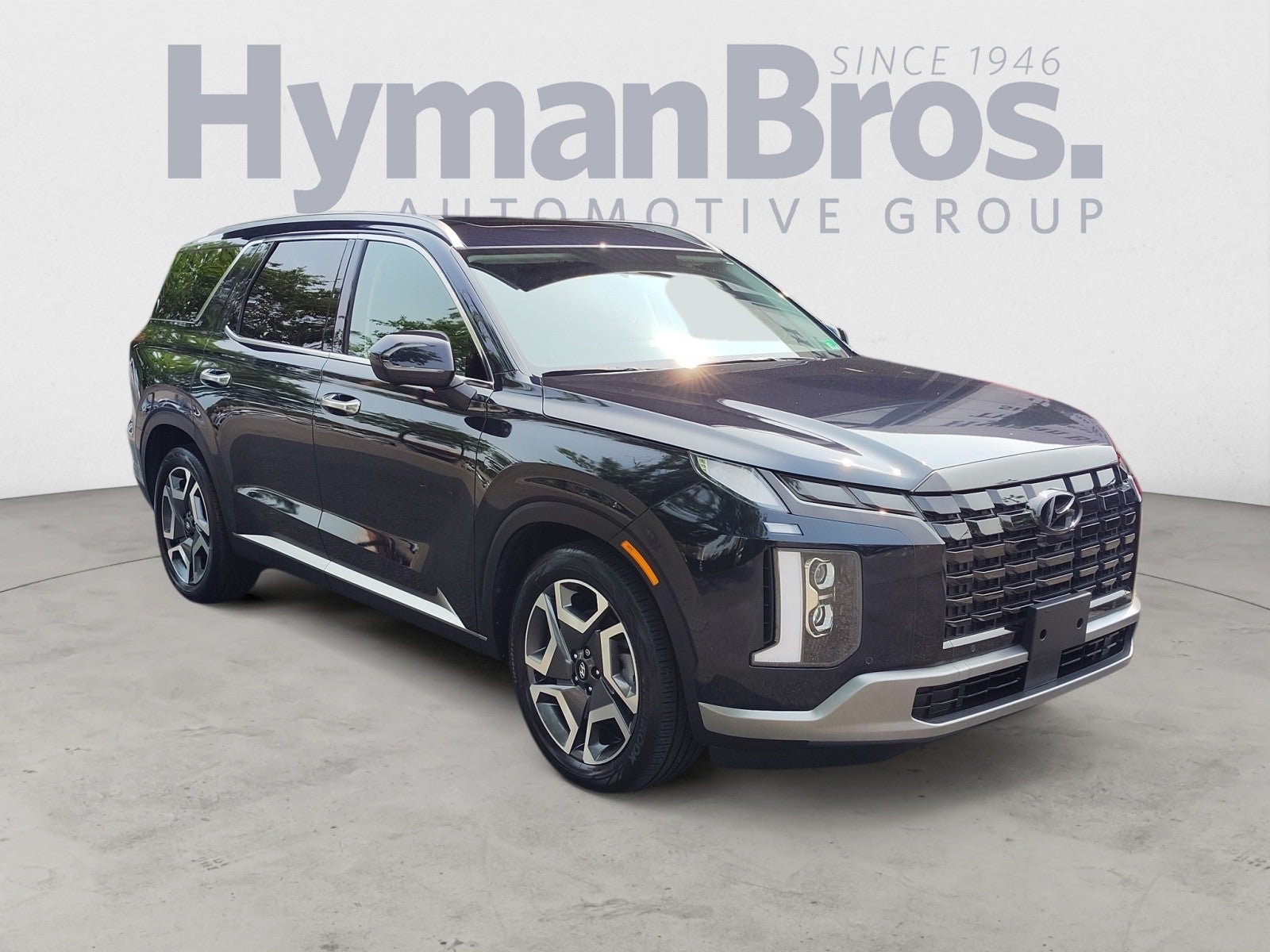2024 Hyundai Palisade SEL 8P