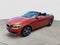 2019 BMW 2 Series 230i Convertible